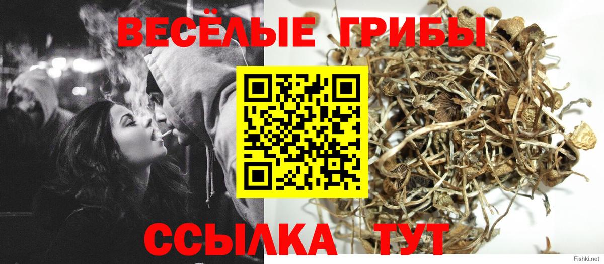 Псилоцибиновые грибы Cubensis  Вход с VPN  Волжский 